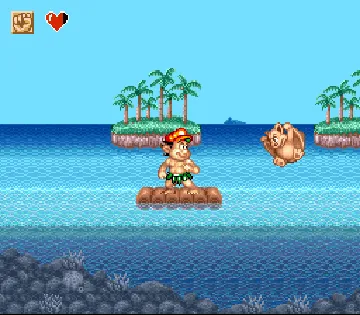 Super Adventure Island II (USA) screen shot game playing